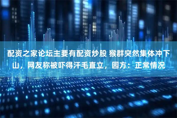 配资之家论坛主要有配资炒股 猴群突然集体冲下山，网友称被吓得汗毛直立，园方：正常情况